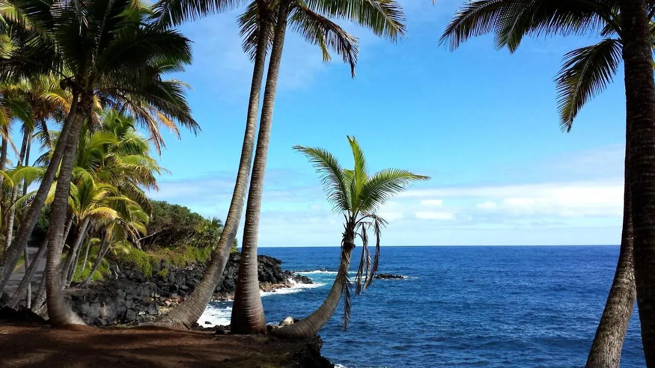 Kehena Treetop Bungalow Home Pahoa 度假居